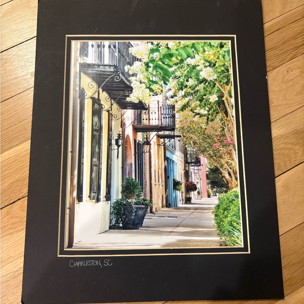Charleston Street Scene Framed Wall Art - Multicolor